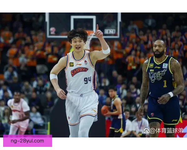 王哲林万分达成畅想未来新征程