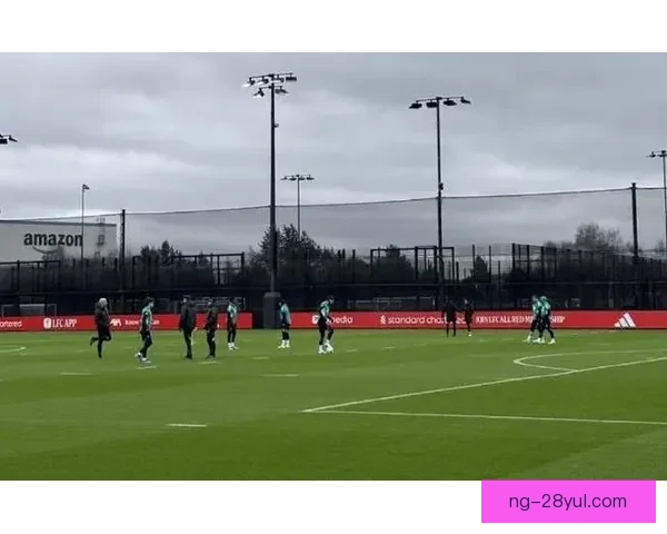 跟队乔戈麦斯科纳特今日未训